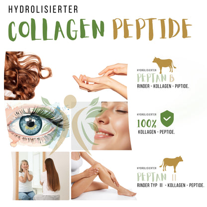 Kollagen Pulver 500g – Typ 1 2 3 Hydrolysat aus Weidehaltung