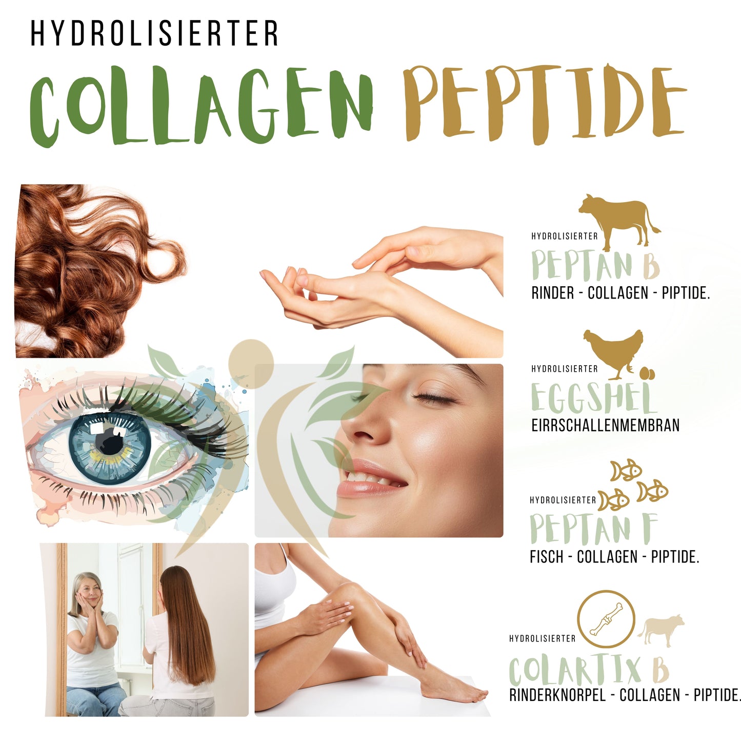 Kollagen Pulver 500g – Multi Collagen Typ 1 2 3 4 5 Hydrolysat