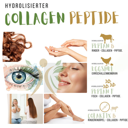 Kollagen Pulver 500g – Multi Collagen Typ 1 2 3 4 5 Hydrolysat